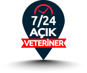 Mamak akdere açık veteriner