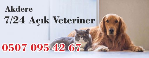 Mamak Akdere Nöbetçi Veteriner 7/24 Açık veteriner 
