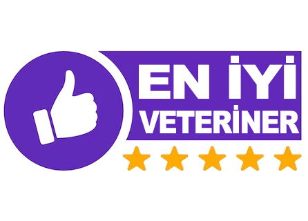 Mamak En İyi Veteriner